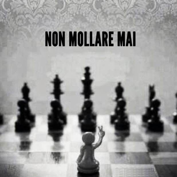CREDERCI E NON MOLLARE MAI !!!