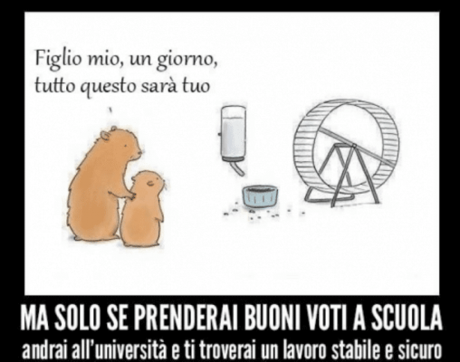 Grande Sistema, sistema scolastico